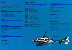 TRIPTICO director de seguridad SUP 2