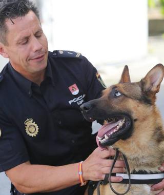 Zeus, un pastor alemán que iba a ser sacrificado, se prepara para ser policía