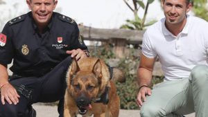 zeusperro-kvd-U20125989298134B-575x323@Diario Sur